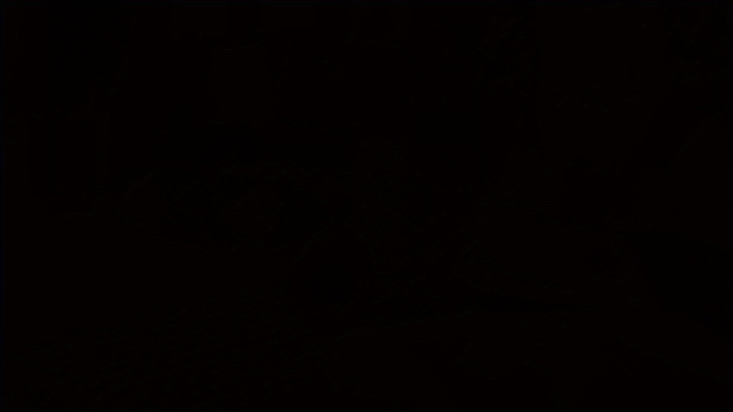 1700W Professional Steam Iron with Rapid Heating Ceramic Soleplate, Precise Thermostat Dial, Self-Cleaning & Auto-Off Safety, 15.21oz Large Water Tank, Digital Display & Ergonomic Handle - Purple for Home & Professional Use,